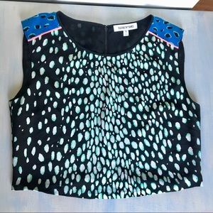 Elizabeth & James Silk Crop Top
